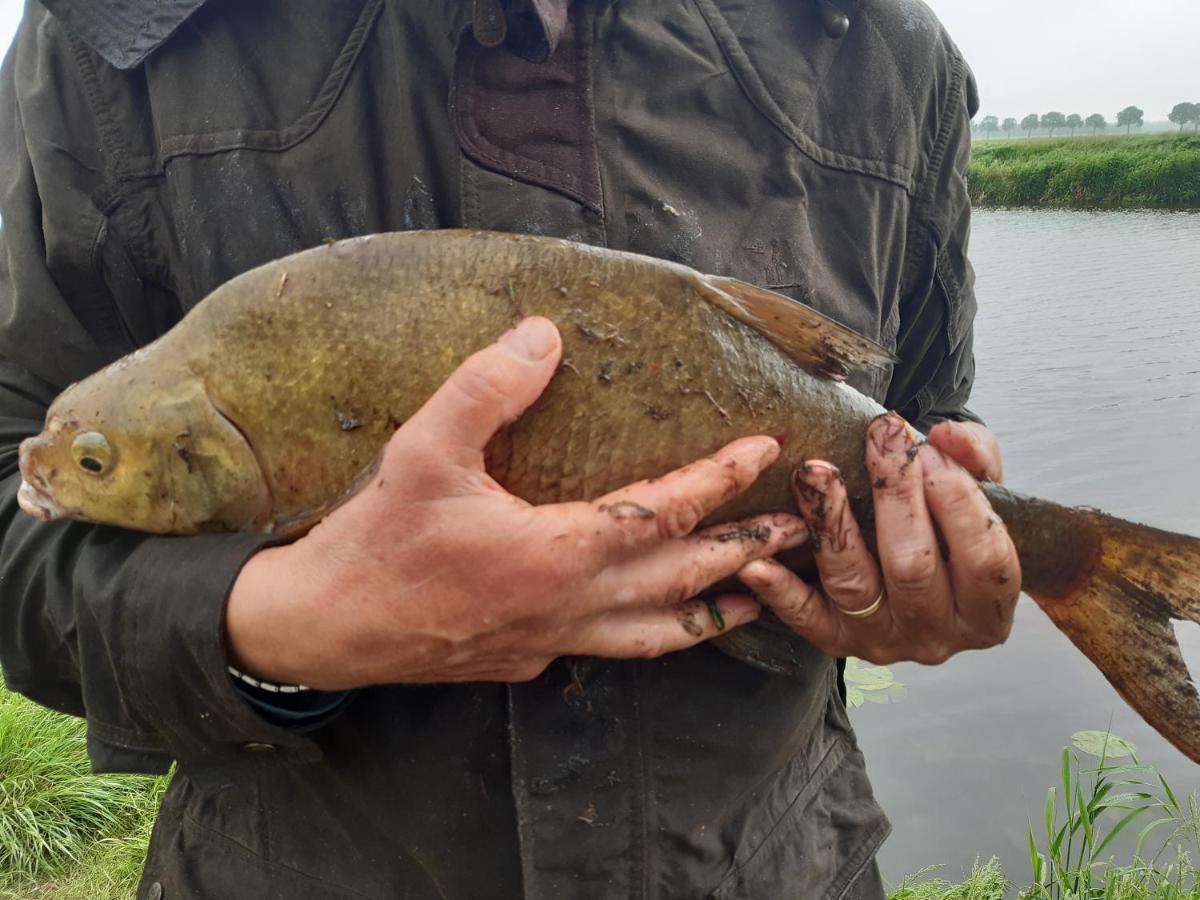Vakantiehuis De Veldhoen Vrijgelegen Nabij De Rivier De Vecht Beerze Dış mekan fotoğraf